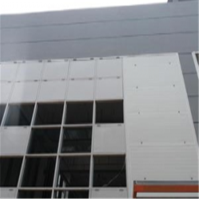 武陵新型建筑材料掺多种工业废渣的陶粒混凝土轻质隔墙板